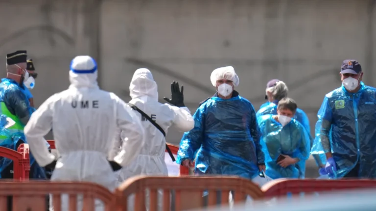 Virus Hanta si diffonde? Donna francese in condizioni critiche in ospedale