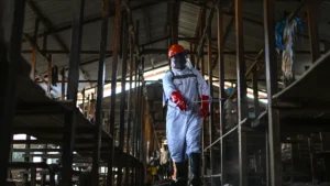 Ue e Unicef inviano 100 tonnellate di aiuti per frenare Ebola nella Repubblica democratica del Congo