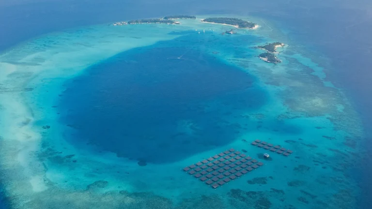 Tragedia alle Maldive, morti cinque turisti italiani durante un’immersione nell’atollo di Vaavu