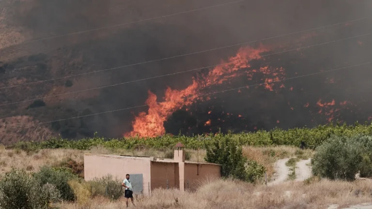 Spagna, incendio in Andalusia: la maggior parte delle 12 vittime è straniera