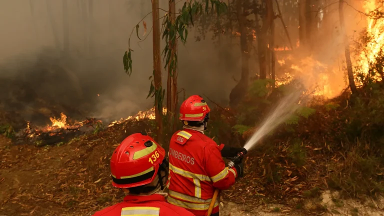 Spagna e Italia, mezzi in Portogallo per combattere gli incendi