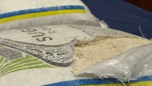 Portogallo, arrestato ex calciatore serbo con una tonnellata e mezza di cocaina e armi da guerra