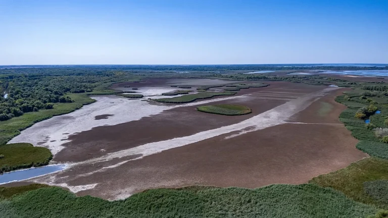 Paesi Ue, appello a investire nel ripristino della natura e colmare il gap di 65 mld l’anno
