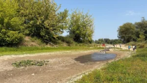 Danubio, pesci senza ossigeno: “È una catastrofe ecologica”
