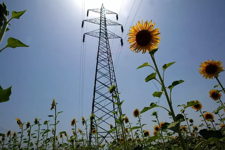 L’Italia si prepara a chiedere la flessibilità Ue per l’energia