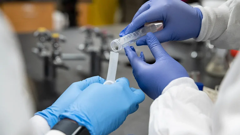 Peste in Siberia? In Russia panico dopo la morte di una tecnica di laboratorio